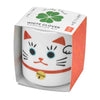 Beckoning Cat Lucky Plant